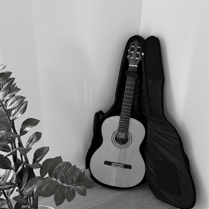 Manuel Romero R25 Classic (+ gig bag)