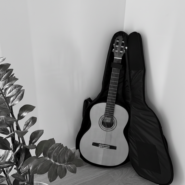 SOLD: Manuel Romero R25 Classic (+ gig bag)