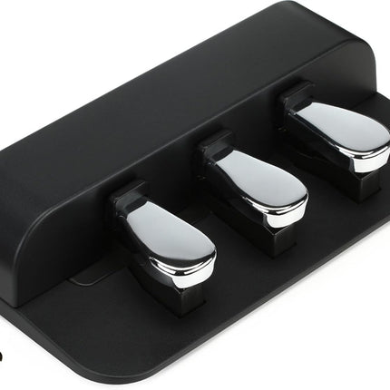 SP-34 | Sustain Pedal Unit