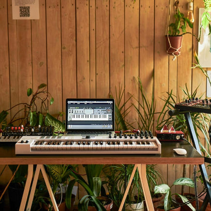 KeyLab Essential 49 MK3