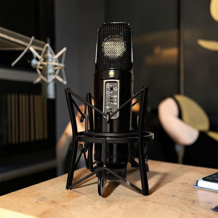 NT2-A (Custom Black Finish)