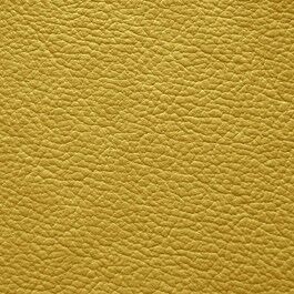 BG-50 Bench | Mustard